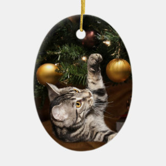 Tabby cat and Christmas tree Ceramic Tree Decoration