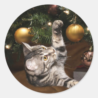 Tabby cat and Christmas tree Classic Round Sticker