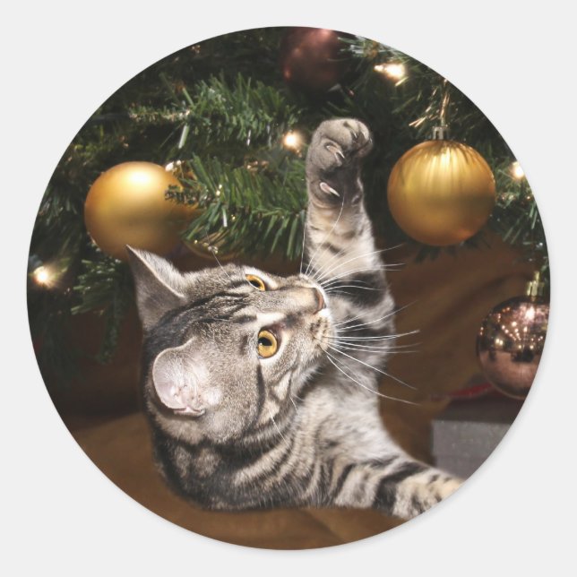 Tabby cat and Christmas tree Classic Round Sticker (Front)