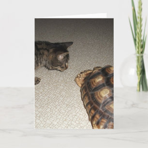 Tabby Cat and Sulcata Tortoise Card