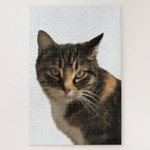 Tabby Cat Artistic Portrait On White Background Jigsaw Puzzle