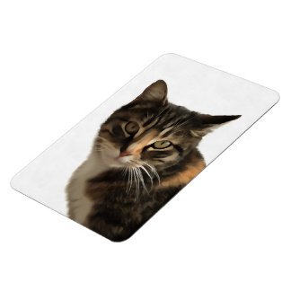 Tabby Cat Artistic Portrait On White Background Magnet