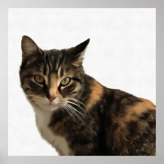 Tabby Cat Artistic Portrait On White Background Poster