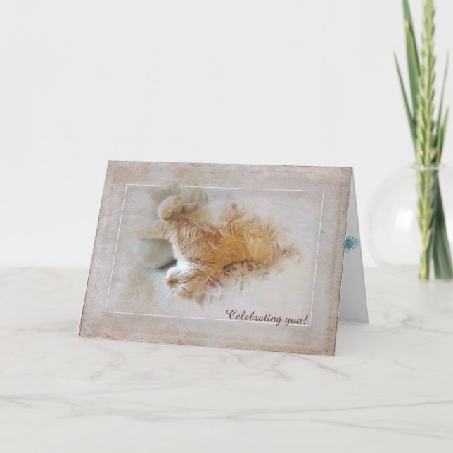 tabby cat birthday card (Front)