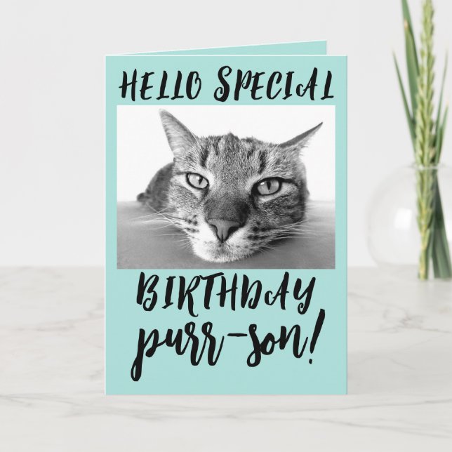 TABBY CAT BIRTHDAY GREETING CARDS (Front)