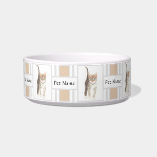 Tabby Cat Bowl With Text