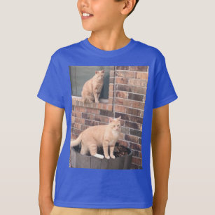 Tabby cat brother-sister T-shirt