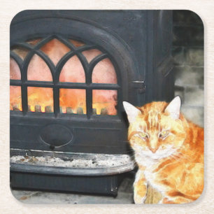 Tabby Cat By Cosy Fire Coaster