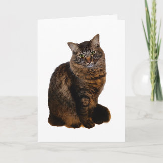Tabby Cat Card - Blank Inside