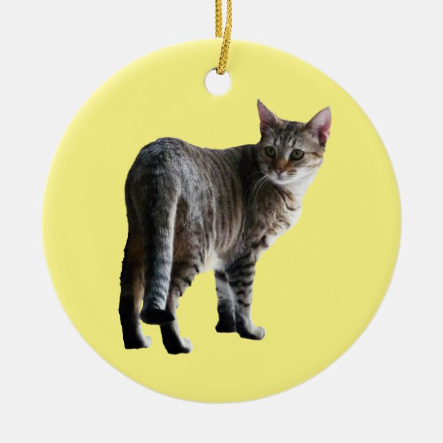 Tabby Cat Ceramic Tree Decoration (Front)