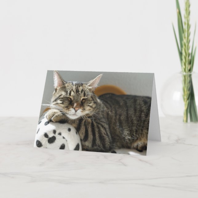 TABBY CAT "CHILL" HELLO ANY OCCASION CARD (Front)