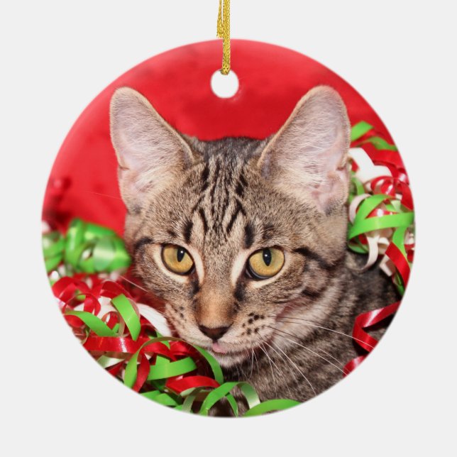 Tabby cat Christmas Ceramic Tree Decoration (Back)