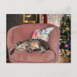 Tabby Cat Christmas Snooze Postcard