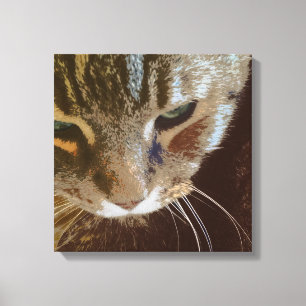 Tabby Cat Close Up Wrapped Canvas