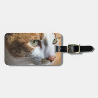 Tabby cat closeup luggage tag