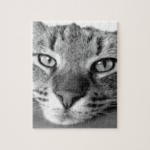 TABBY CAT CLOSEUP PUZZLE