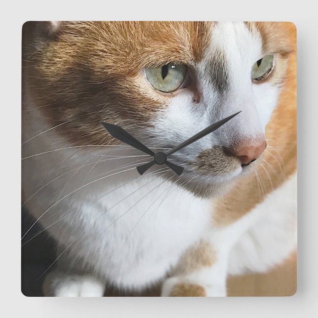 Tabby cat closeup square wall clock (Front)
