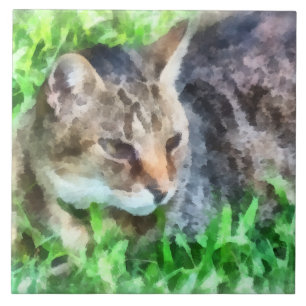 Tabby Cat Closeup Tile