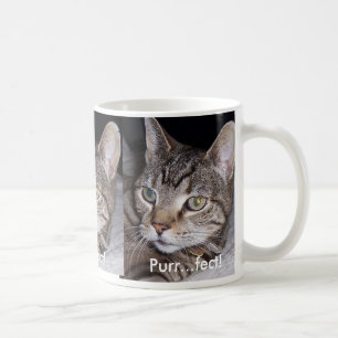 Tabby Cat Coffee Mug