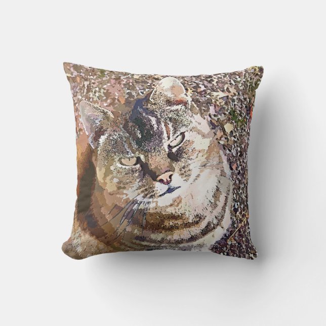 TABBY CAT CUSHION (Front)