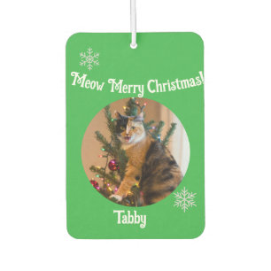 Tabby Cat Customize Photo Name Car Air Freshener