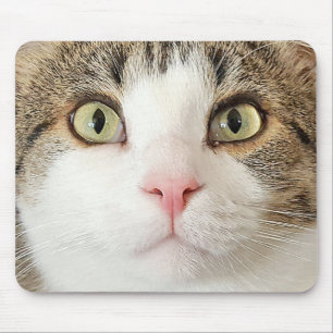 tabby cat face mouse mat