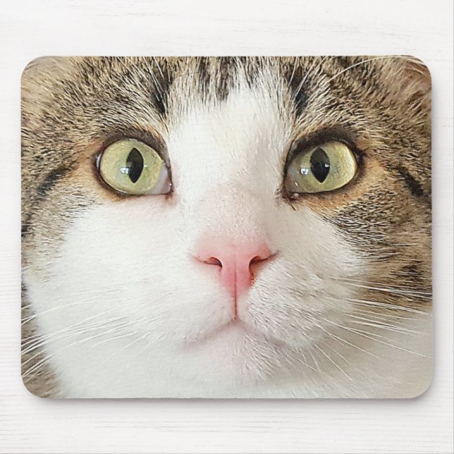 tabby cat face mouse mat (Front)