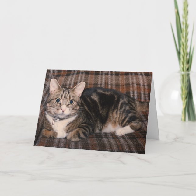 tabby cat Father's Day card (Front)