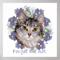 Tabby Cat Forget Me Not