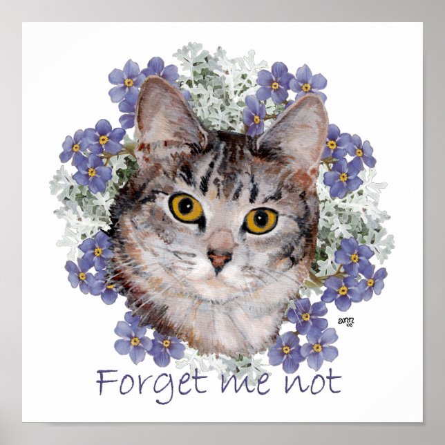 Tabby Cat Forget Me Not Poster (Front)