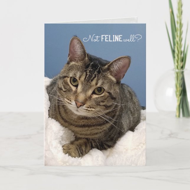 Tabby Cat Get Well Soon Card (Front)