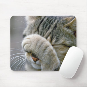 Tabby Cat Humour Mouse Mat