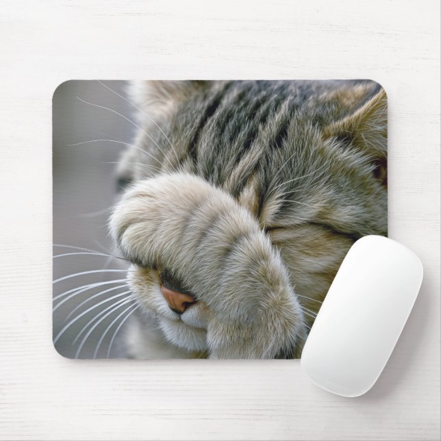 Tabby Cat Humour Mouse Mat (With Mouse)