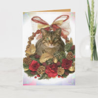 Tabby Cat in Christmas basket