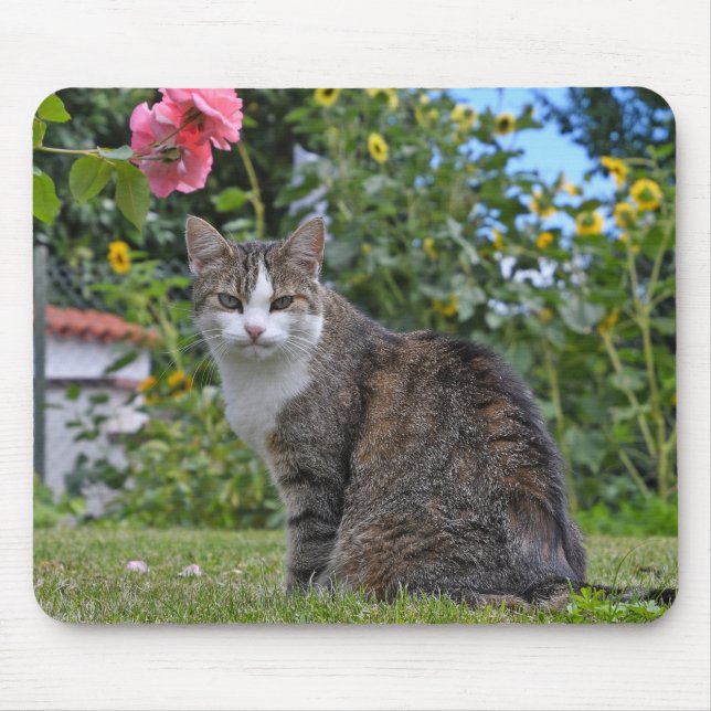 tabby cat in garden mouse mat (Front)