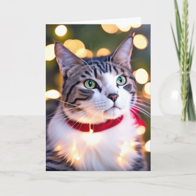Tabby Cat In Holiday Lights (Front)