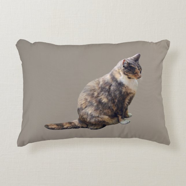 Tabby Cat in Shades of Brown Decorative Cushion (Front)