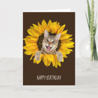 tabby cat in sunflower birthday