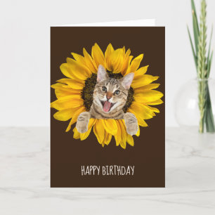 tabby cat in sunflower card