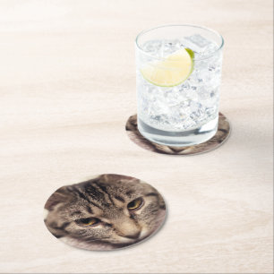 Tabby Cat-Instagram by Shirley Taylor Round Paper Coaster