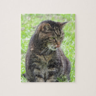 Tabby Cat Jigsaw Puzzle