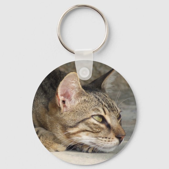 Tabby Cat Keychain (Front)