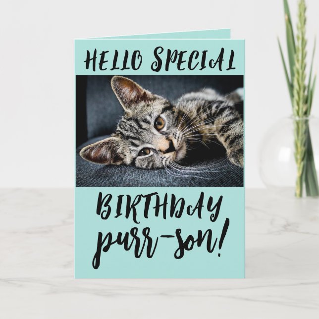 TABBY CAT KITTEN BIRTHDAY GREETING CARDS (Front)
