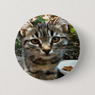 Tabby Cat Kitten Making Eye Contact 6 Cm Round Badge