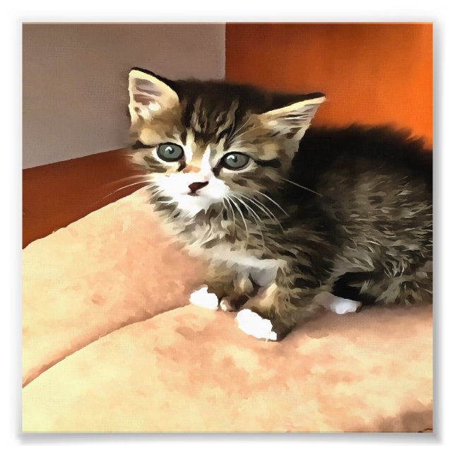 Tabby Cat Kitten Pet Portrait Photo Print (Front)