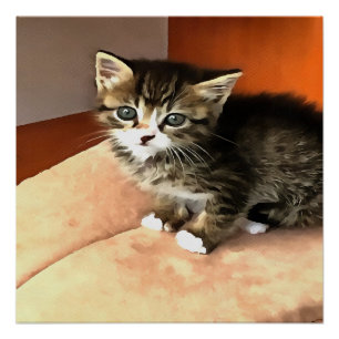 Tabby Cat Kitten Pet Portrait Poster