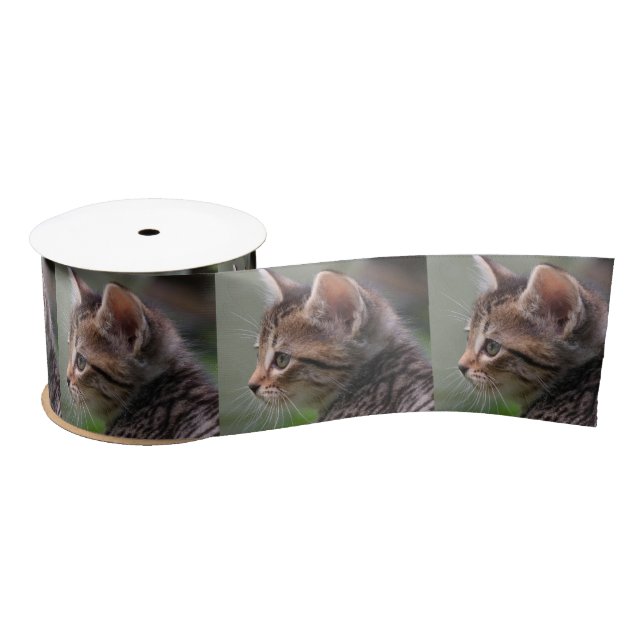 Tabby cat kitten portrait 3" satin ribbon (Spool)