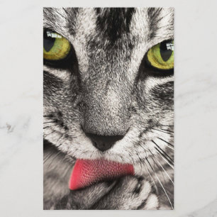 Tabby Cat Licking Paw Stationery