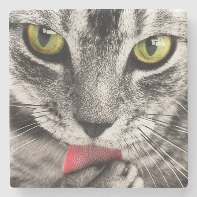 Tabby Cat Licking Paw Stone Coaster (Front)