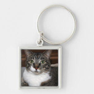 Tabby Cat Looking at You - Discontinued by Me Key Ring